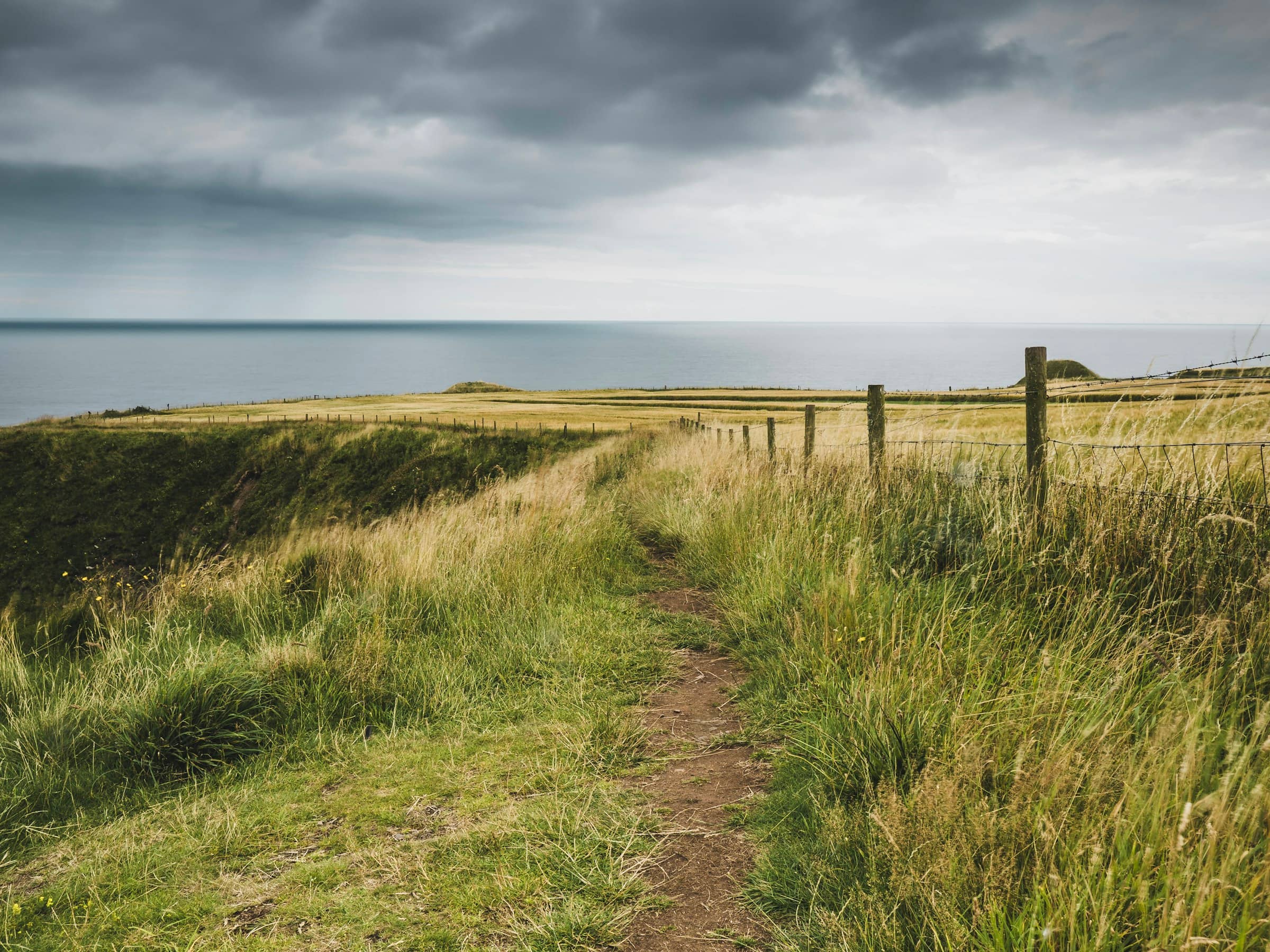 The Walks: Guided along the cliff path.